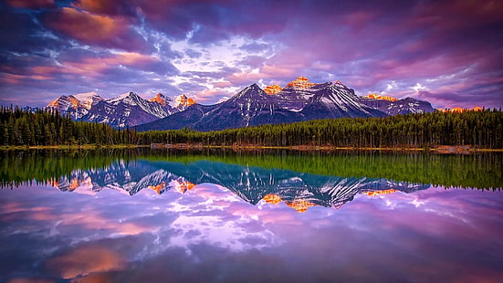 緑の植物と山、湖、山、森、自然、風景、カナダ、雪のピーク、雲、反射、水、穏やかな風景写真、 HDデスクトップの壁紙 HD wallpaper
