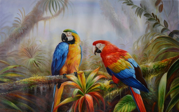 Jungle Parrot Exotic Birds Pictures Ladda ner Hd Bakgrund, HD tapet