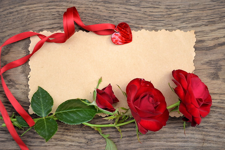 red roses, love, flowers, roses, petals, valentine's day, HD wallpaper