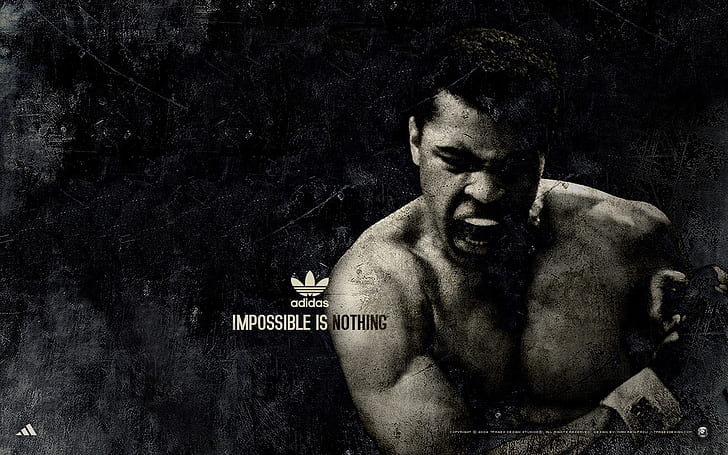 محمد علي ملاكم رياضي، خلفية HD