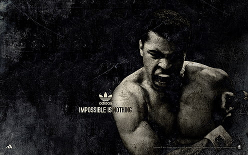 Muhammad Ali, Boxer, Sports, HD wallpaper HD wallpaper