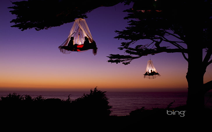 two brown hanging chairs, the sky, trees, sunset, lights, hammocks, HD wallpaper