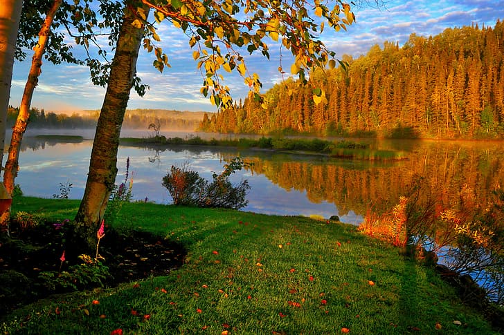осень, лес, небо, деревья, отражение, река, HD обои