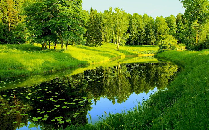 spring river-Seasons HD Wallpaper, body of water between trees, HD wallpaper