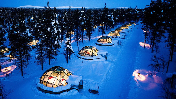 зелени борови дървета, природа, пейзаж, дървета, гора, зима, сняг, вечер, светлини, иглу, хотел, модерен, борови дървета, стъкло, легло, Лапландия, Финландия, романтичен, HD тапет