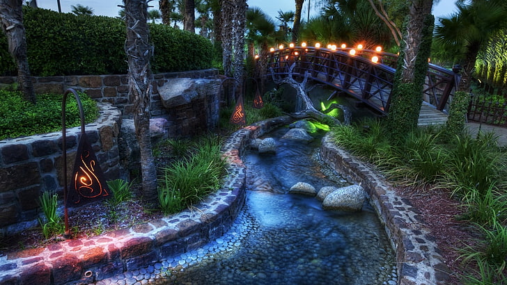 kolam renang tiup biru dan hijau, taman, lampu, Wallpaper HD