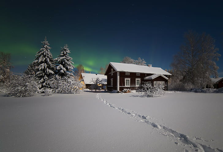 nature, landscape, winter, snow, house, trees, night, lights, aurorae, stars, HD wallpaper