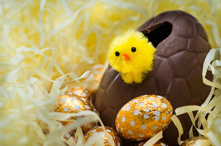 eggs, Easter, chicken, looks, gold, Easter eggs, large, bokeh, chocolate, hatched, around, wallpaper., from the egg, the world, HD wallpaper