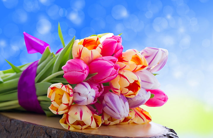 букет тюльпанов оранжевого и фиолетового цветов, тюльпаны, цветы, букет, HD обои