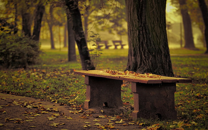 кафява дървена пейка, пейка, парк, листа, есен, дървета, самота, HD тапет