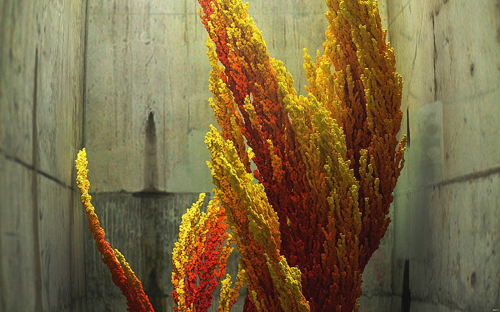 flor de pétalas bege e vermelha, 3D, abstrato, HD papel de parede