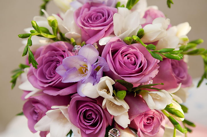fioletowe róże i biały bukiet kwiatów frezji, róże, kwiat, bukiet, dekoracja, zbliżenie, ładny, Tapety HD