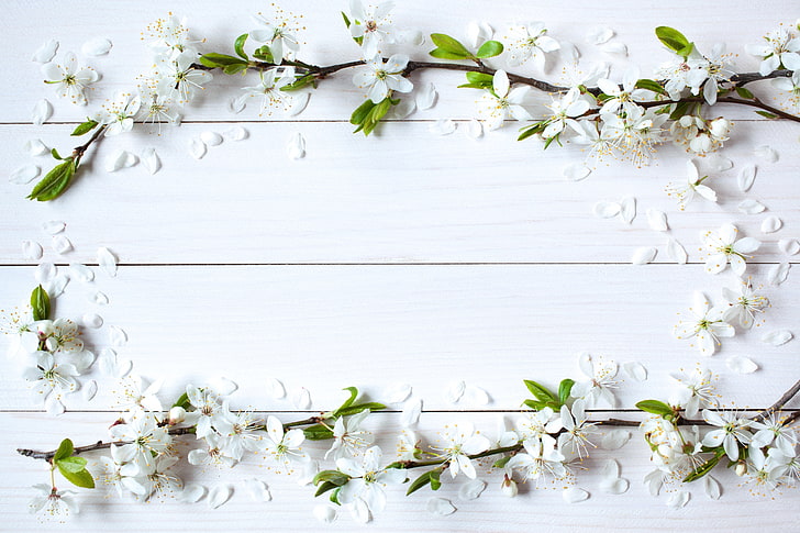 flores de cerezo blanco, flores, fondo, primavera, manzana, madera, flor, marco, Fondo de pantalla HD