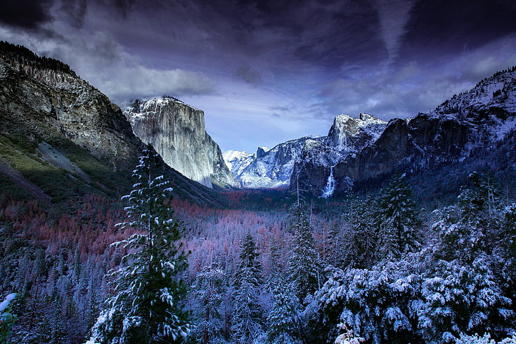 montagnes brunes et arbres de la forêt verte, montagnes, col, hiver, Fond d'écran HD