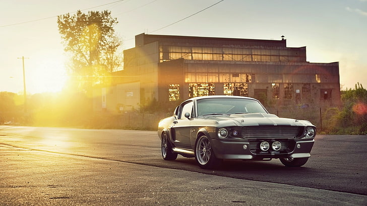 gris Ford Mustang mach 1 coupe, automóvil, Shelby, llantas, plata, Eleanor (automóvil), Ford Mustang, Shelby GT500, eleanor, GT500 eleanor, Fondo de pantalla HD