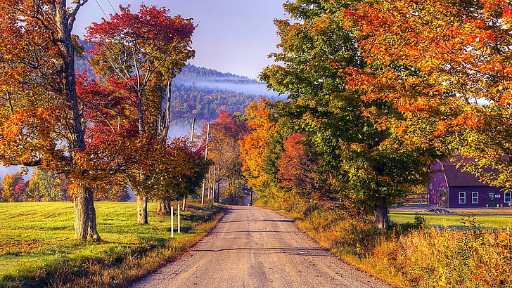 kolory jesieni, wieś, droga, jesienne liście, drzewo, obszar wiejski, poranek, krajobraz, trawa, światło słoneczne, dom, wieś, natura, liściaste, jesień, Tapety HD