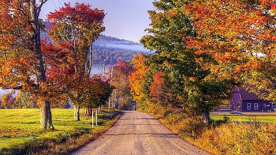 kolory jesieni, wieś, droga, jesienne liście, drzewo, obszar wiejski, poranek, krajobraz, trawa, światło słoneczne, dom, wieś, natura, liściaste, jesień, Tapety HD HD wallpaper