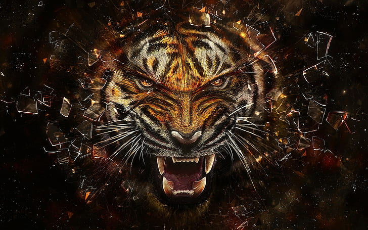 Tiger Drawing HD, digital / artwork, drawing, tiger, Fond d'écran HD