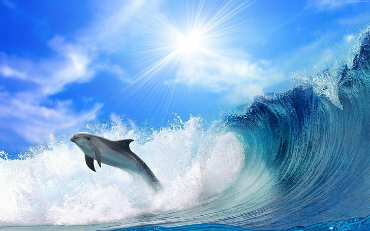 dolphin, 4K, ocean, HD wallpaper