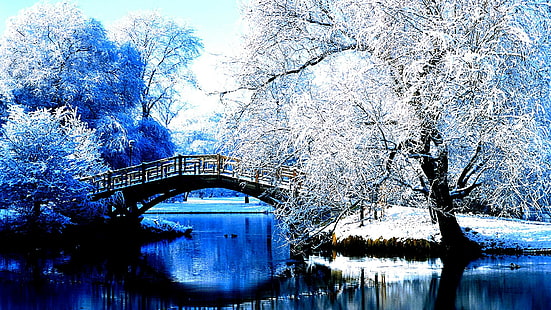 naturaleza, 1920x1080, invierno, parque, central, contraste, alto, hd invierno, Fondo de pantalla HD HD wallpaper
