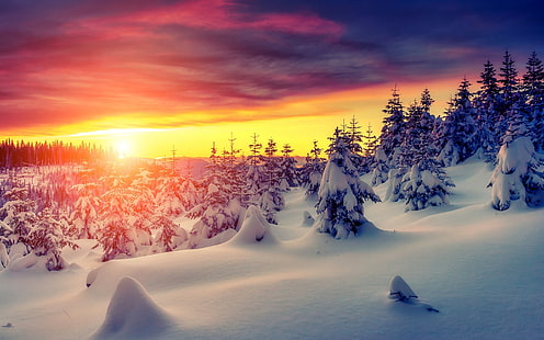 豪華な冬の日の出、日の出、雪、山、風景、 HDデスクトップの壁紙 HD wallpaper