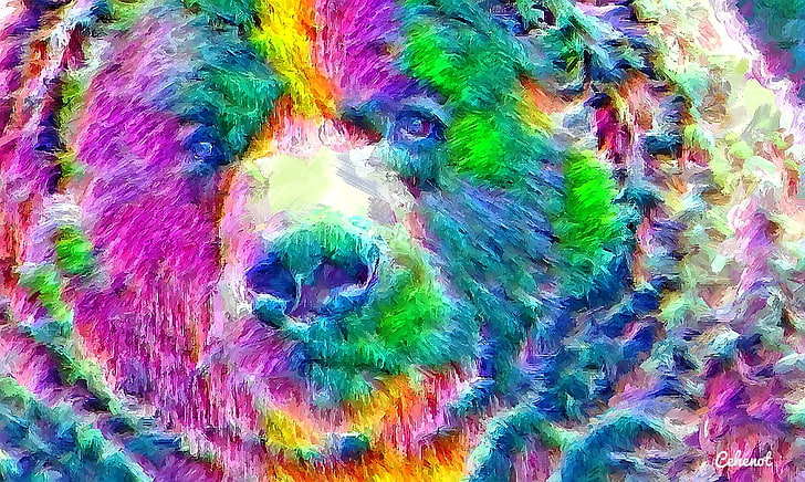 Beruang, warna-warni, seni, kuning, cehenot, abstrak, hewan, hijau, lukisan, wajah, pictura, pink, biru, Wallpaper HD