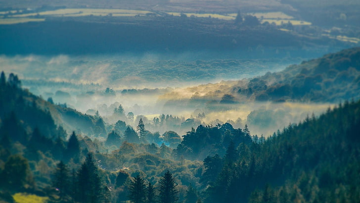 photographie aérienne de forêt tropicale, nature, brume, montagnes, forêt, Fond d'écran HD