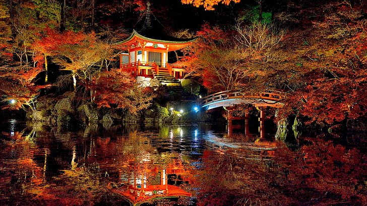 pagoda roja y blanca, pagoda roja durante la noche, naturaleza, árboles, bosque, hojas, otoño, rama, Japón, puente, noche, arquitectura asiática, luces, lago, agua, roca, reflexión, escaleras, Fondo de pantalla HD