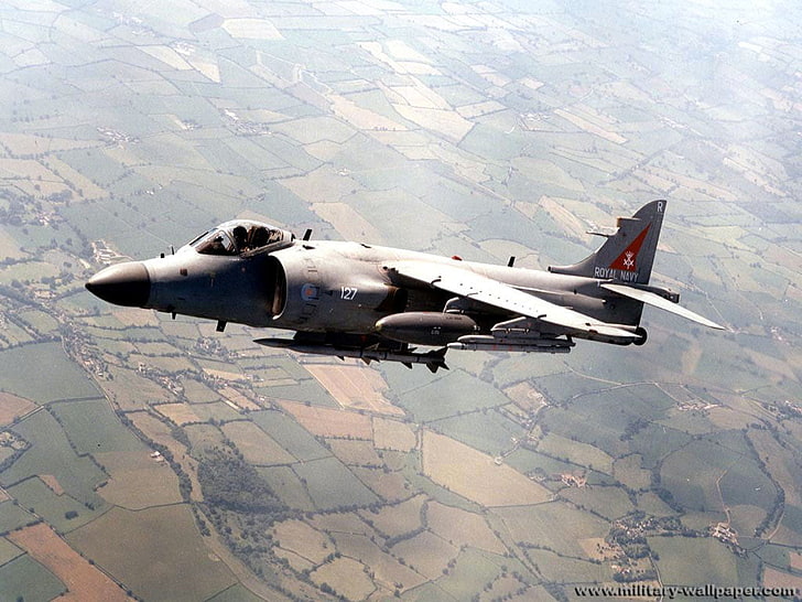 avion de chasse gris, Jet Fighters, Harrier Jump Jet, Harrier, Fond d'écran HD