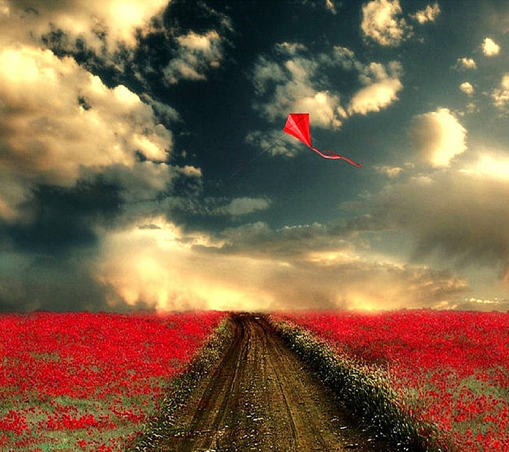 schwarze und rote abstrakte Malerei, digitale Kunst, Feld, Himmel, Wolken, HD-Hintergrundbild