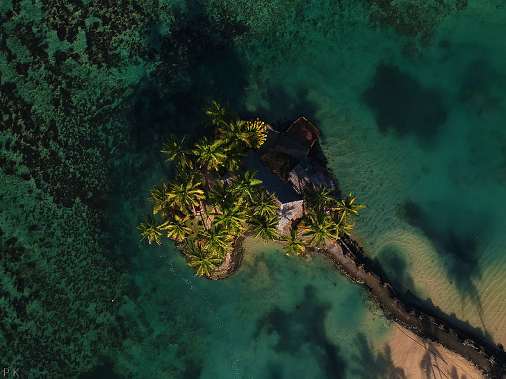isolotto e alberi di cocco, natura, paesaggio, Figi, Warwick, alberi, sentiero, foto di drone, rocce, sabbia, onde, Sfondo HD