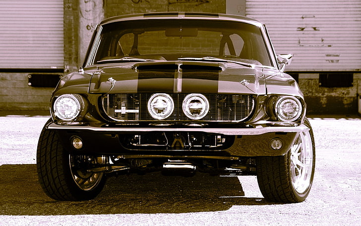 Ford Mustang, Shelby, coche, vehículo, Ford, Fondo de pantalla HD