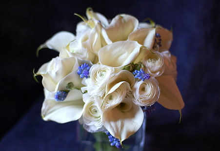 white ranunculus and calla lilies centerpiece, ranunkulyus, calla lilies, muscari, flowers, bouquet, combination, HD wallpaper HD wallpaper