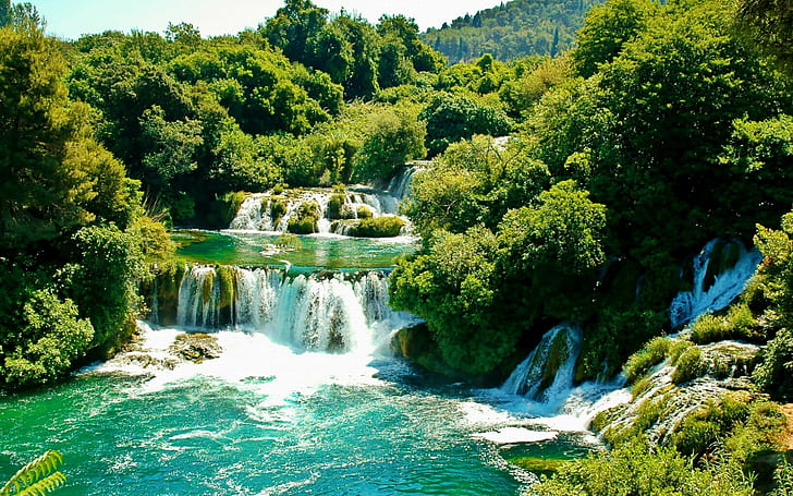 Национален парк Krka, Хърватия, зелени дървета в близост до водопади, Национален парк Krka, Хърватия, HD тапет