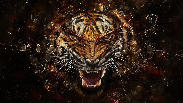 harimau, kaca, pecahan, agresi, gigi, Wallpaper HD