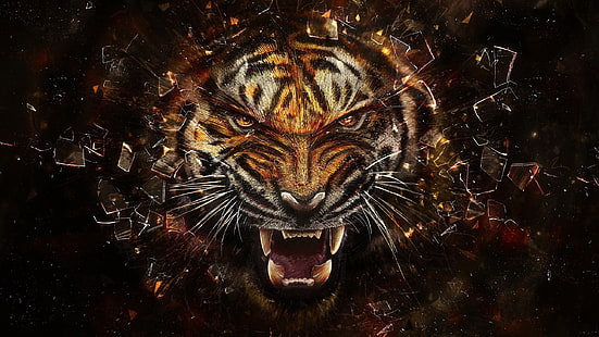 tigre, vidrio, fragmentos, agresión, dientes, Fondo de pantalla HD HD wallpaper