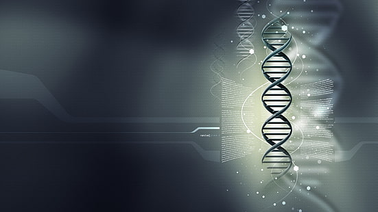 Ilustração de DNA, tecnologia, física e química, HD papel de parede HD wallpaper