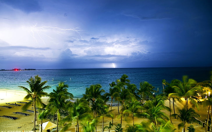 green coconut trees, nature, landscape, clouds, lightning, storm, horizon, Bahamas, tropical, palm trees, sea, beach, windy, sand, long exposure, deck chairs, HD wallpaper
