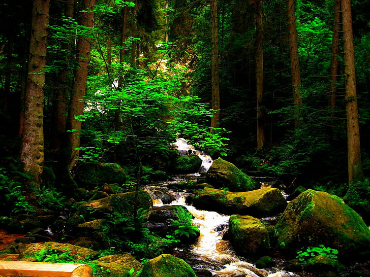 숲 폭포, 스트림, 자연, 부드러운, 녹색, 아름 다운, 폭포, 바위, 이끼, 숲, 3d 및 개요, HD 배경 화면