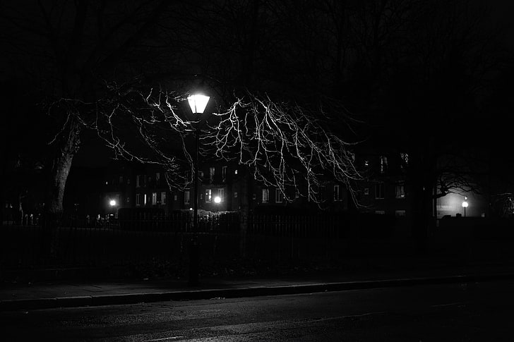 벌 거 벗은 나무, 랜 턴, 밤, 나무, bw 근처에 켜진 포스트 램프의 회색조 사진, HD 배경 화면