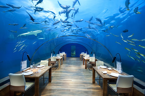 шест правоъгълни кафяви дървени маси със столове трапезария, под вода, ресторант, стол, маса, море, риба, стъкло, лампа, прозрачност, арка, дървена повърхност, ястия, Малдиви, акула, HD тапет HD wallpaper