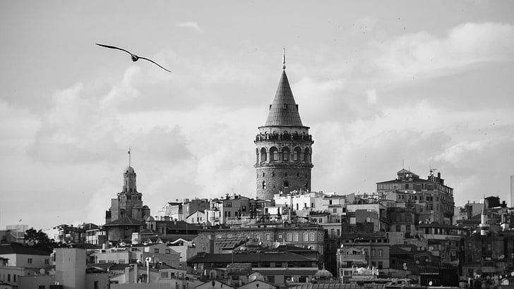 istanbul, galata, tower, bnw, turkey, bird, black and white, city, HD wallpaper