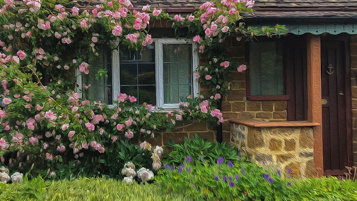 roses, plant, flowering plant, garden, home, house, yard, painting, rose family, shrub, cottage, window, backyard, HD wallpaper