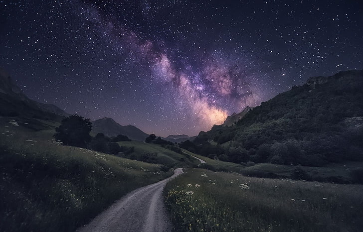 green leafed tree, photography, nature, landscape, Milky Way, starry night, dirt road, grass, trees, shrubs, mountains, wildflowers, long exposure, Spain, HD wallpaper