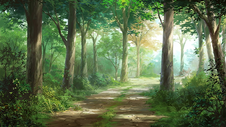 Anime, oryginał, ścieżka, drzewo, Tapety HD
