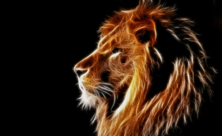 Glowing Lion, lion's head illustration, Aero, Black, animals, HD wallpaper
