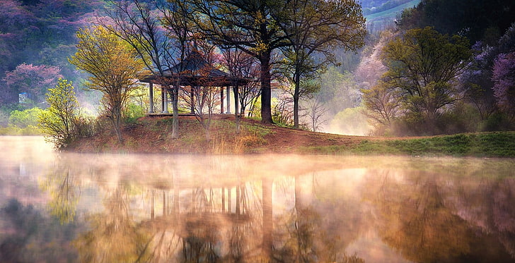 braune Gartenlaube, See, Nebel, Reflexion, Frühling, Bäume, Wasser, Natur, Landschaft, Gras, Berge, Kirschblüte, Südkorea, HD-Hintergrundbild