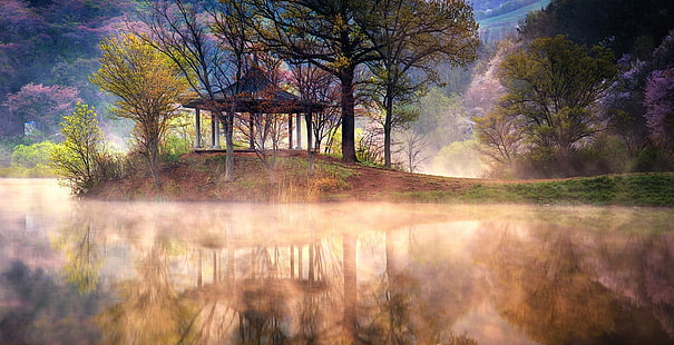 brown gazebo, lake, mist, reflection, spring, trees, water, nature, landscape, grass, mountains, cherry blossom, South Korea, HD wallpaper HD wallpaper