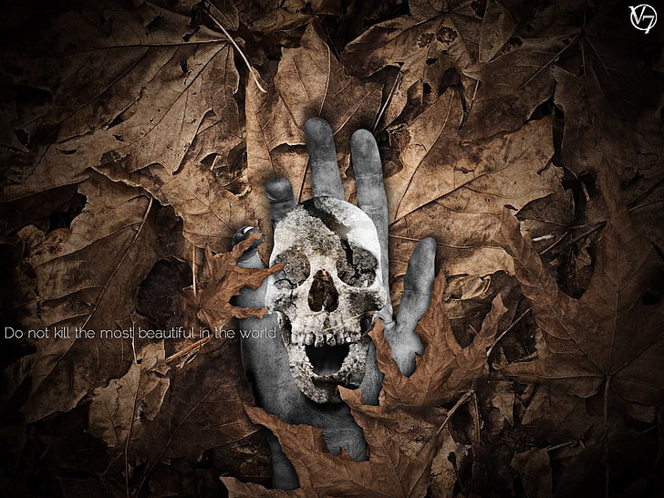 szara ręka z tapetą z nadrukiem czaszki, natura, śmierć, czaszka, liście, obróbka zdjęć, Photoshop, Tapety HD