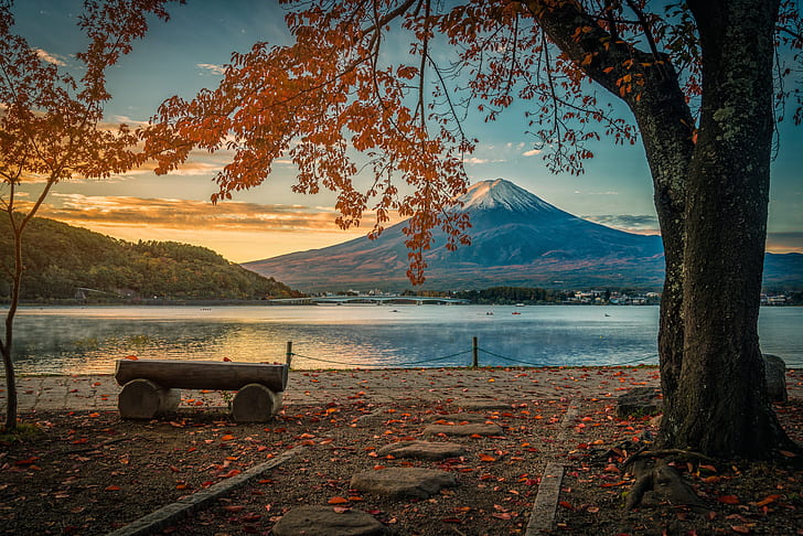 autumn, leaves, trees, Park, colorful, Japan, mount Fuji, landscape, nature, tree, Fuji mountain, HD wallpaper